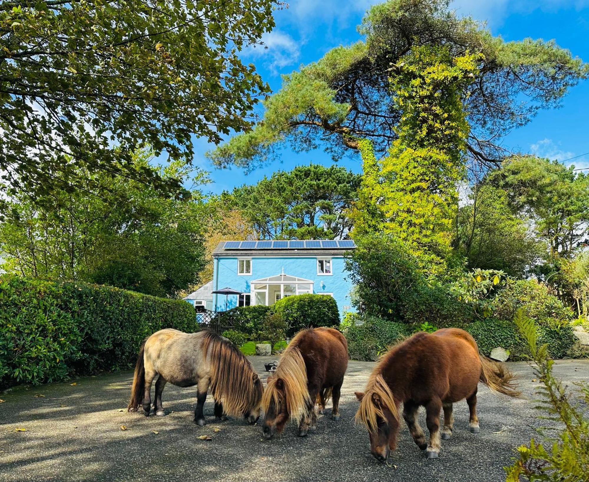 Bay View Cottage St Austell Exteriér fotografie